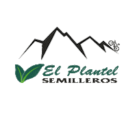 Sport Bike Sticker by El plantel semilleros