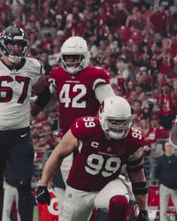 Celebrate Deandre Hopkins GIF by Arizona Cardinals