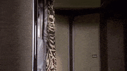 Looking Julie Hagerty GIF by filmeditor