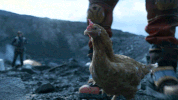 GIF by NETFLIX