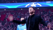 champions league football GIF by UEFA