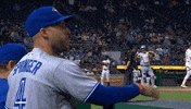Blue Jays Baseball GIF by Toronto Blue Jays