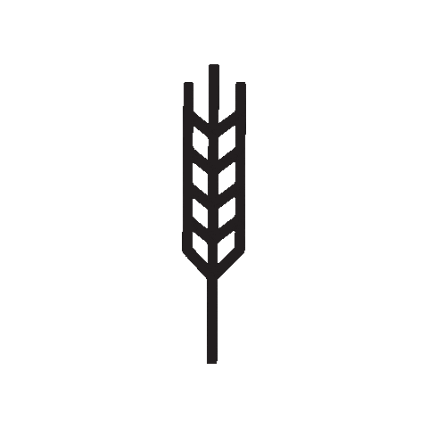 redshedmalt giphygifmaker barley redshed redshedmalting Sticker