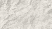 creafoam carnaval karneval foam alaaf GIF