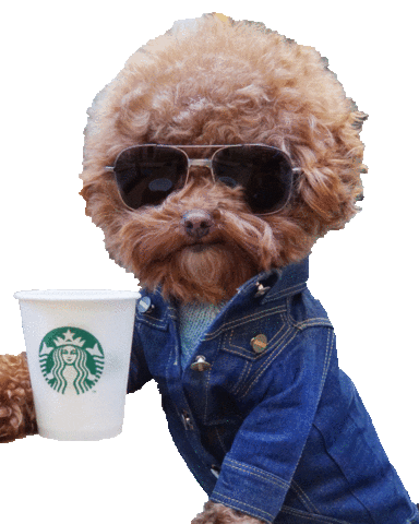 Sticker Coffee Sticker