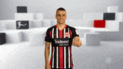 Come On Hello GIF by Bundesliga