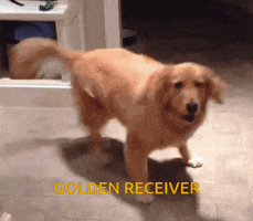 Golden Receiver GIF by 82NC