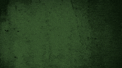fabricgif south yaz sohs beat north GIF