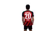 Turn Sge Sticker by Eintracht Frankfurt