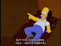 homer simpson GIF