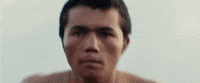 neonrated neon neonrated monos monosfilm GIF