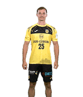 Sport Handball Sticker by HSC 2000 Coburg