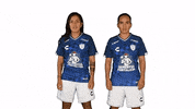 Liga Mx Cf Pachuca GIF by Club Pachuca Tuzos
