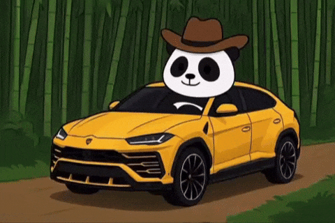 Cruise Bamboo GIF by Pandu Pandas