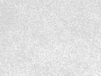 Black And White Trump GIF