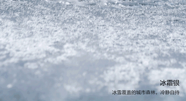 nelsonchan24 giphyupload GIF