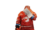 Ice Hockey Sticker Sticker by HC Oceláři Třinec