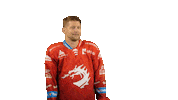 Ice Hockey Sticker Sticker by HC Oceláři Třinec