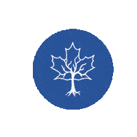 Itf Birthday Sticker by Integrity Mortgages Solutions