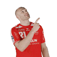 Handball Sticker by MT Melsungen