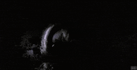 Shawshank Redemption Andy GIF