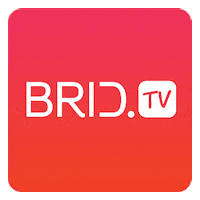 bridtv thumb up brid bridvideo GIF