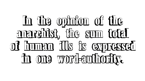 Politics Punk Sticker