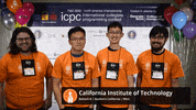 icpc 2020 nac icpc icpcnac2020 GIF
