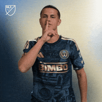 Stop Talking Philadelphia Union GIF by Major League Soccer