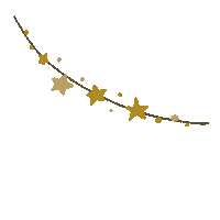 Christmas Star Sticker