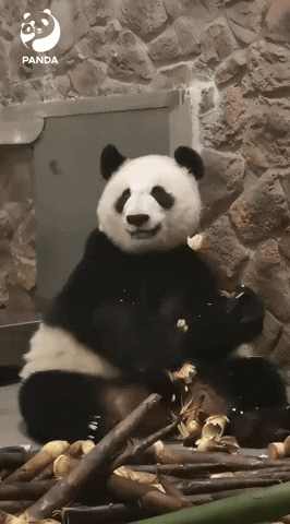 ehdgus1211 giphyupload GIF