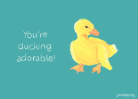 PandaKongArt valentine digital art valentines pun GIF