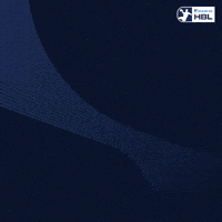 Handball Erlangen GIF by DAIKIN HBL