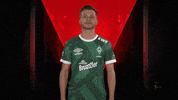 Proud Heart GIF by Bundesliga