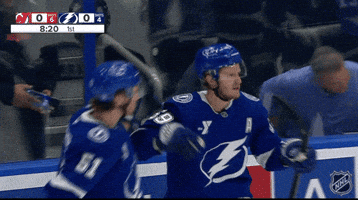 Happy Celebration GIF by NHL