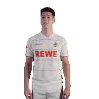 Bring It On Soccer Sticker by 1. FC Köln