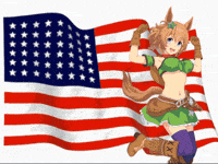 American Flag Usa GIF