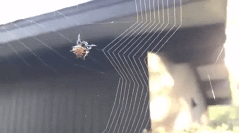 GIF by Demic