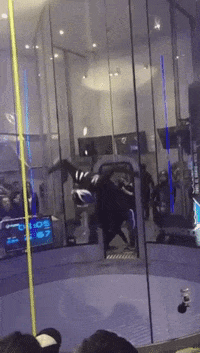 GIF by poppodium Bibelot