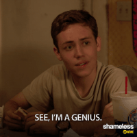 GIF by Showtime