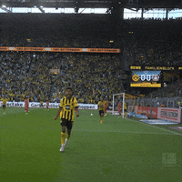 Celebration GIF by Borussia Dortmund