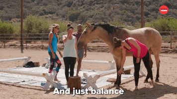 Yoga Horses GIF by BuzzFeed