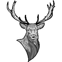 teenyjanestudio london deer stag red deer Sticker