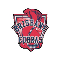 Nyc Cobras Sticker by Touch Football Australia