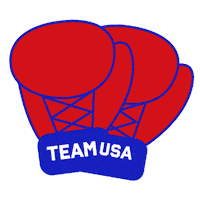 Summer Olympics Sticker by Team USA