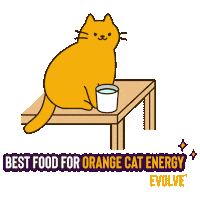Cat Evolve Sticker by Sunshine Mills
