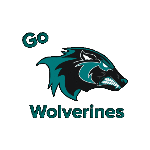 AlisoNiguelFootball giphygifmaker anhs aliso football anhsfootball Sticker