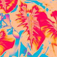 Loop Rainbow GIF by Toke