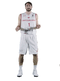 Patrick Sticker by Swiss Basketball