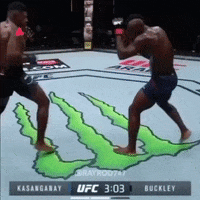 Knockout Win GIF by Piñata Farms: The Meme App